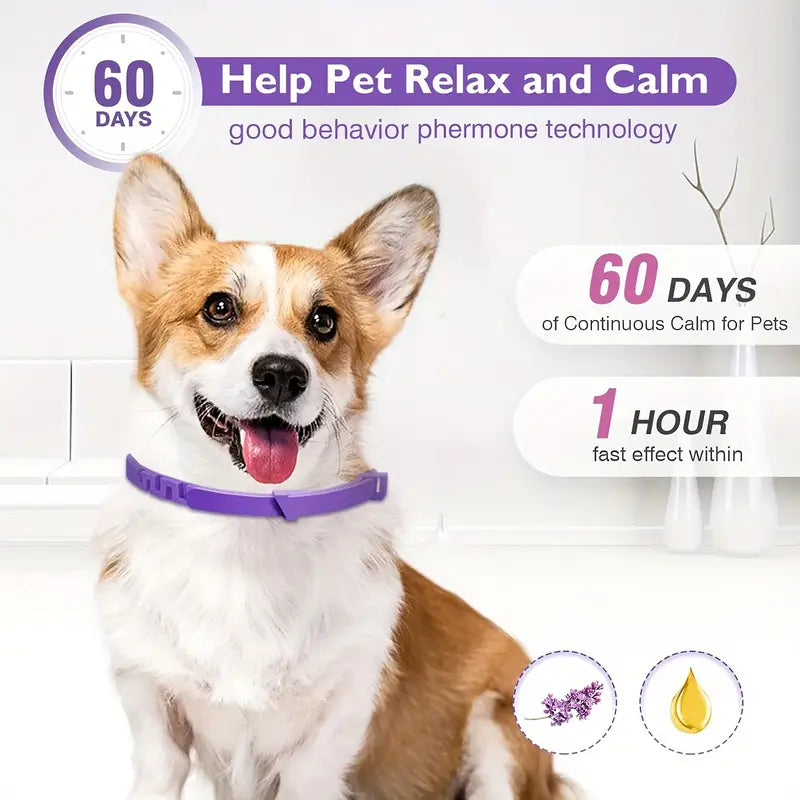 Soothing Paws Calming Dog Collar