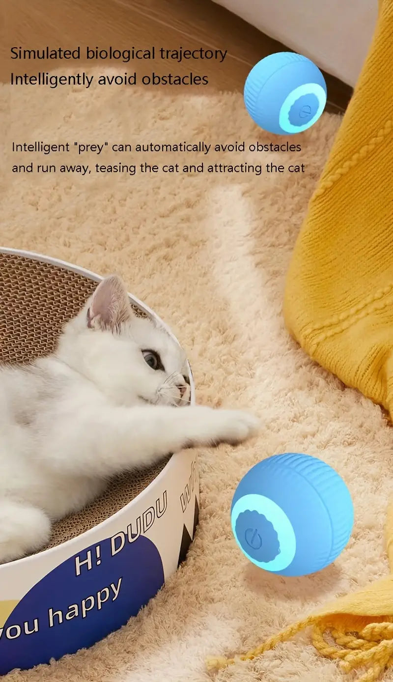 Interactive Auto-Rolling Cat Toy