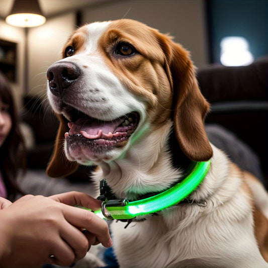 LED reflective Pet Collar