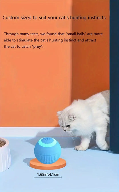 Interactive Auto-Rolling Cat Toy