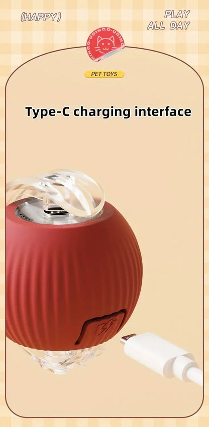 Interactive Pet Toy