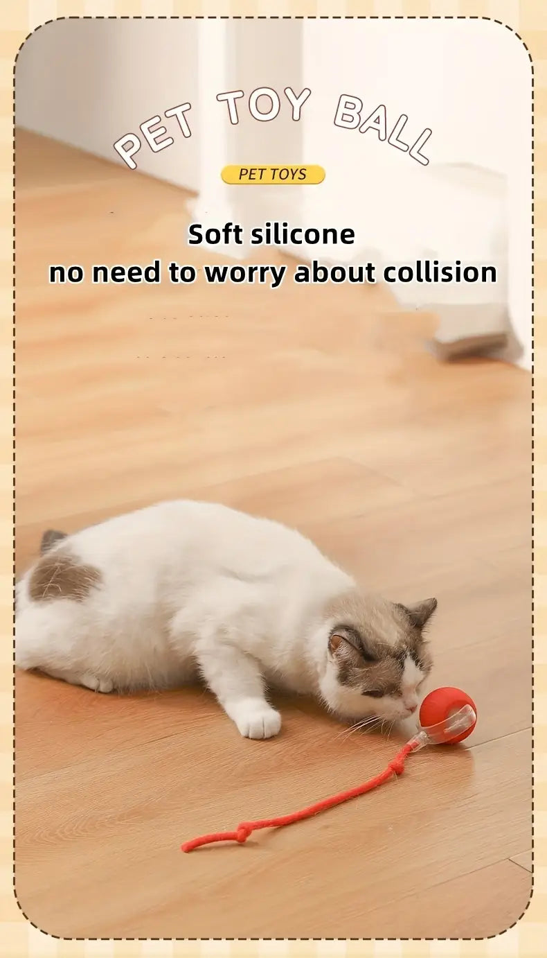 Interactive Pet Toy