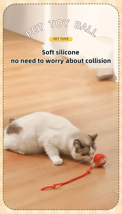 Interactive Pet Toy
