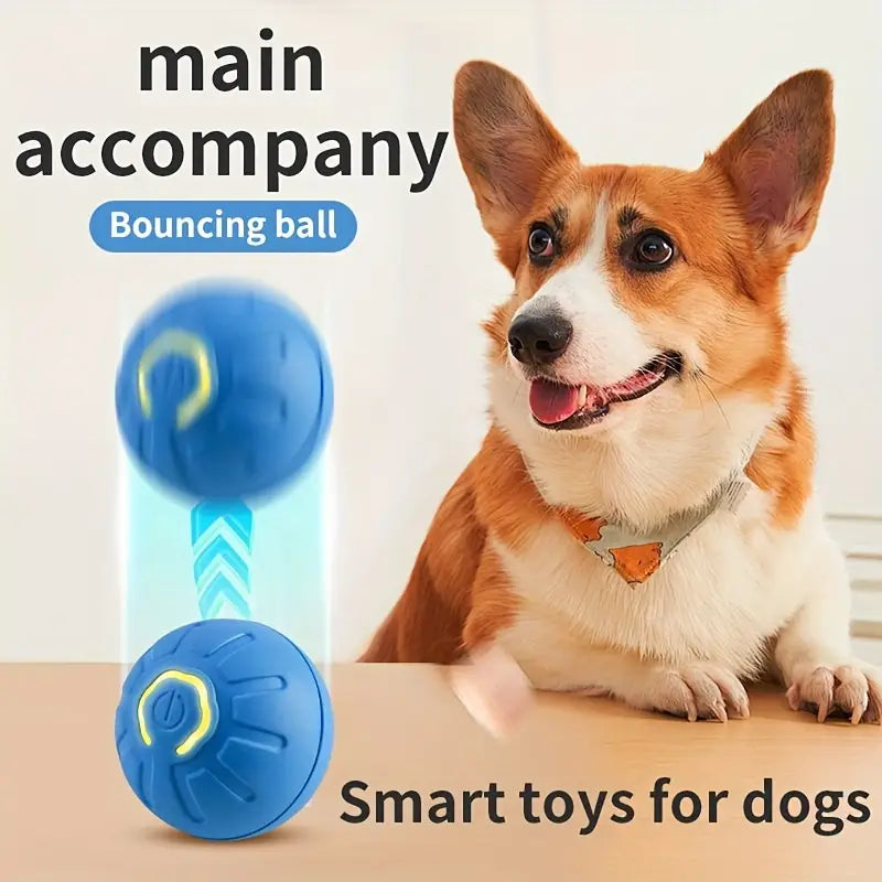Interactive Gravity Bouncing Dog Toy