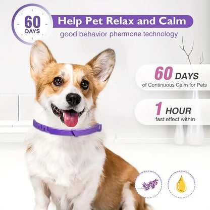 Soothing Paws Calming Dog Collar