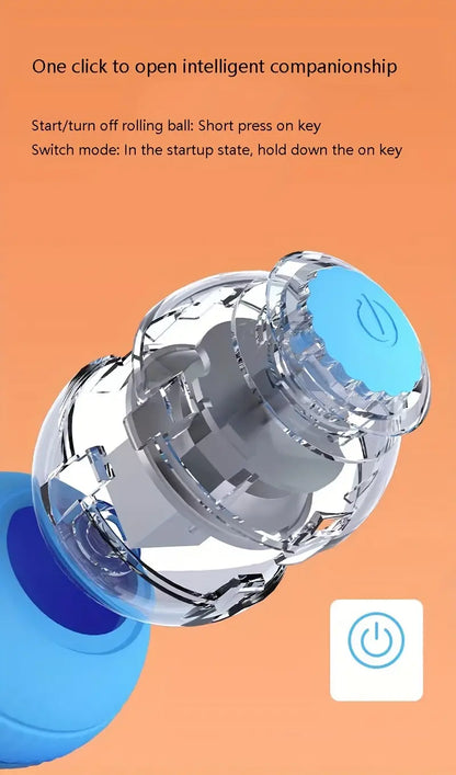 Interactive Auto-Rolling Cat Toy