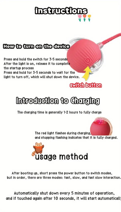 Interactive Pet Toy
