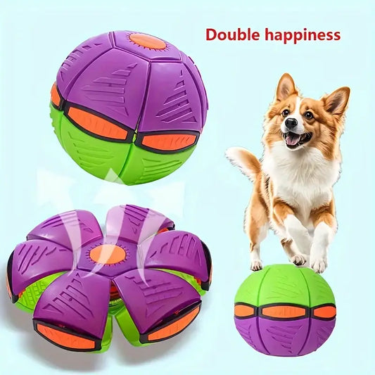 Durable Rubber Dog flying disc