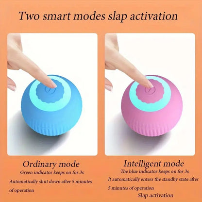 Interactive Auto-Rolling Cat Toy