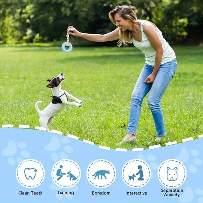 3pcs Soft Rubber Puppy Chew Toys for Teething