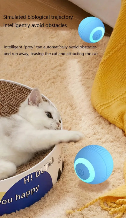 Interactive Auto-Rolling Cat Toy