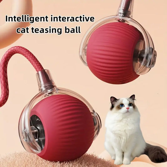 Interactive Pet Toy