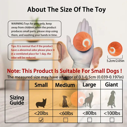 Interactive Gravity Bouncing Dog Toy